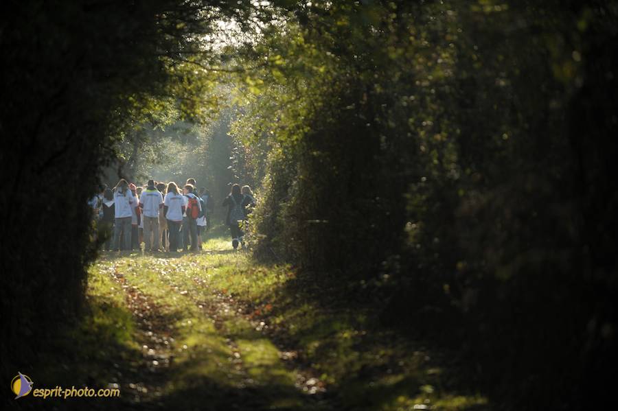 Nom de l'image : D30082979_1_(c)Norbert-JUNG — Description :